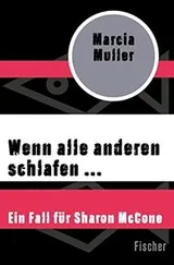 Cover of Wenn alle anderen schlafen ...