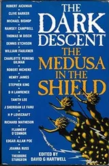 Cover of The Dark Descent The Medusa In The Shield