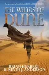 Cover of The Winds of Dune