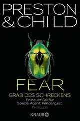Cover of Fear - Grab des Schreckens
