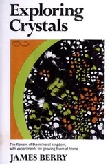 Cover of Exploring crystals