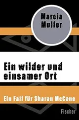 Cover of Ein wilder und einsamer Ort