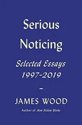 Cover of Serious Noticing