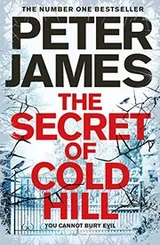 Cover of The Secret of Cold Hill