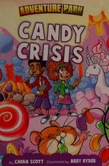 Cover of Candy crisis