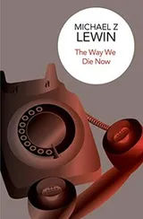 Cover of The Way We Die Now