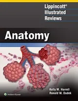 Cover of Lippincott® Illustrated Reviews