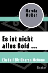 Cover of Es ist nicht alles Gold ...