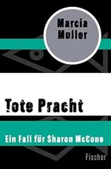 Cover of Tote Pracht
