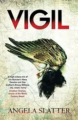 Cover of Vigil