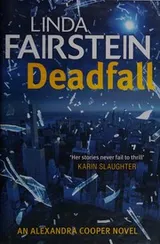 Cover of Deadfall (Alexandra Cooper, #19)
