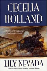 Cover of Lily Nevada