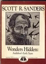 Cover of The visionary
