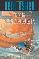 Cover of The Skinner
