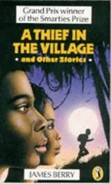 Cover of A thief in the village