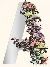 Cover of The Ambergris Trilogy