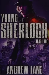 Cover of Black ice