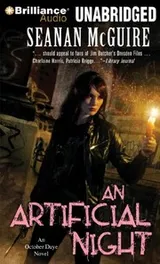 Cover of An Artificial Night