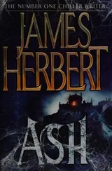 Cover of Ash
