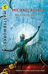 Cover of No Enemy But Time