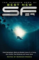 Cover of Mammoth Book of Best New SF 29