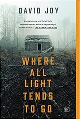 Cover of Where All Light Tends to Go