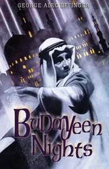 Cover of Budayeen Nights