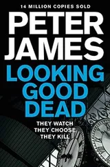Cover of Looking Good Dead