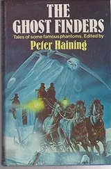 Cover of The ghost finders