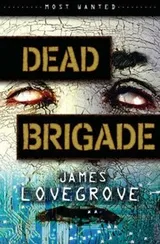 Cover of Dead Brigade  by Lovegrove, James  Paperback