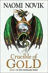 Cover of Crucible Of Gold