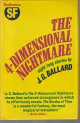 Cover of The four-dimensional nightmare
