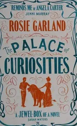 Cover of The Palace of Curiosities