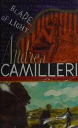 Cover of A beam of light