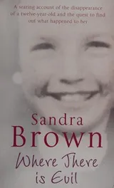 Cover of Where There Is Evil