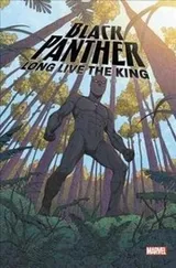 Cover of Black Panther