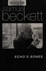 Cover of Echo's bones