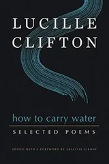 Cover of How to Carry Water