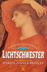 Cover of Sword and Sorceress VIII