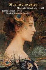 Cover of Sword and Sorceress XII