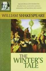 Cover of The Winter's Tale