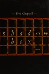 Cover of Shadow box