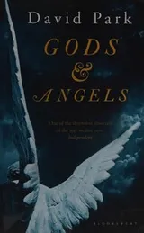 Cover of Gods and angels