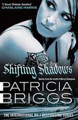 Cover of Shifting Shadows