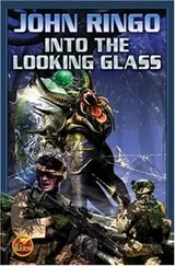 Cover of Into the Looking Glass