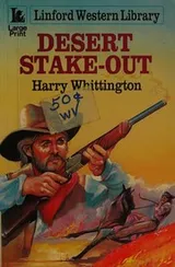 Cover of Desert stake-out