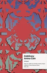 Cover of Indelicacy