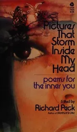 Cover of Pictures that storm inside my head