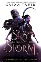 Cover of A Sky Beyond the Storm