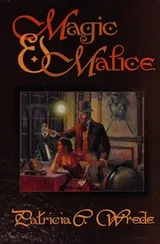 Cover of Magic & Malice